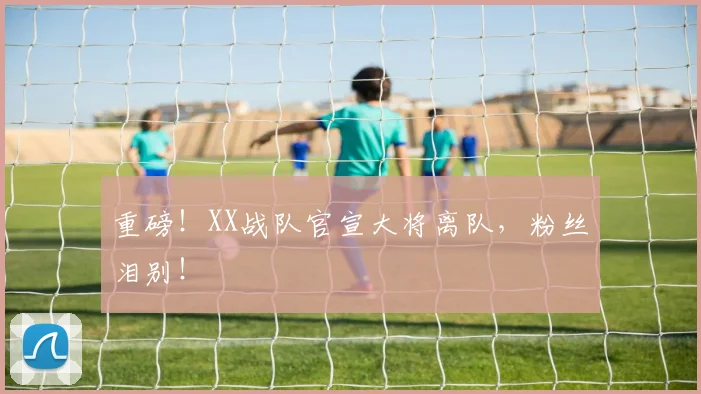 重磅！XX战队官宣大将离队，粉丝泪别！